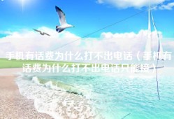 手机有话费为什么打不出电话（手机有话费为什么打不出电话只能接）