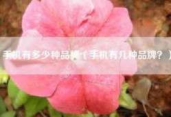 手机有多少种品牌（手机有几种品牌？）
