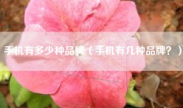手机有多少种品牌（手机有几种品牌？）