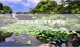小红书关键词搜索量查询