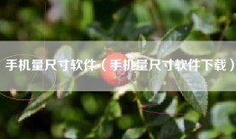 手机量尺寸软件（手机量尺寸软件下载）