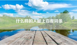 什么样的人能上百度词条