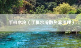 手机水冷（手机水冷散热器原理）