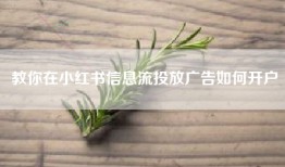 教你在小红书信息流投放广告如何开户