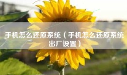手机怎么还原系统（手机怎么还原系统出厂设置）