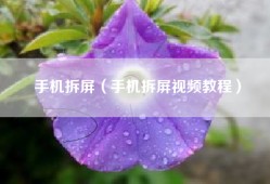 手机拆屏（手机拆屏视频教程）