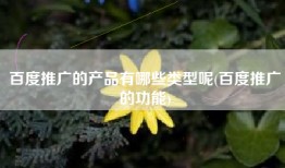 百度推广的产品有哪些类型呢(百度推广的功能)