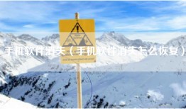 手机软件消失（手机软件消失怎么恢复）