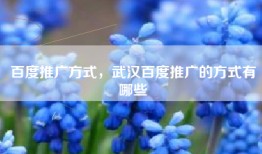 百度推广方式，武汉百度推广的方式有哪些