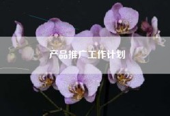 产品推广工作计划