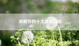 清明节的十大传统习俗