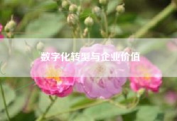 数字化转型与企业价值