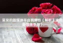常见的新媒体平台有哪些（解析主流的新媒体平台）