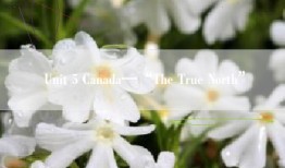 Unit 5 Canada—“The True North”