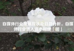 自媒体行业发展现状及趋势分析，自媒体行业进入资本时代「图」