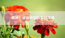 揭秘！企业转型背后的关键