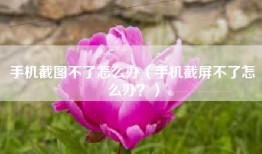 手机截图不了怎么办（手机截屏不了怎么办？）
