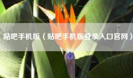 贴吧手机版（贴吧手机版登录入口官网）