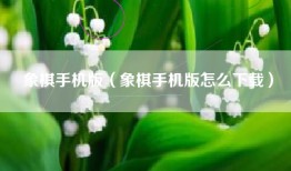 象棋手机版（象棋手机版怎么下载）