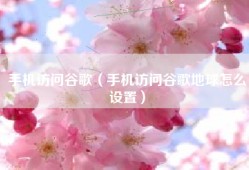 手机访问谷歌（手机访问谷歌地球怎么设置）