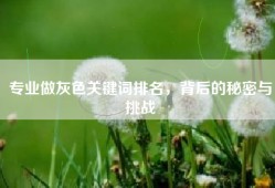 专业做灰色关键词排名，背后的秘密与挑战