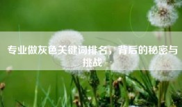 专业做灰色关键词排名，背后的秘密与挑战