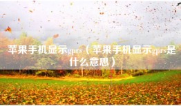 苹果手机显示gprs（苹果手机显示gprs是什么意思）