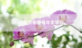 a2驾照需要每年年审吗