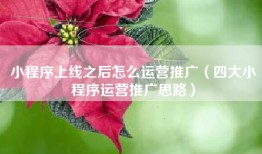 小程序上线之后怎么运营推广（四大小程序运营推广思路）