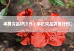 手机壳品牌排行（手机壳品牌排行榜）