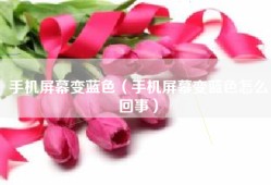 手机屏幕变蓝色（手机屏幕变蓝色怎么回事）