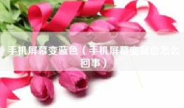 手机屏幕变蓝色（手机屏幕变蓝色怎么回事）