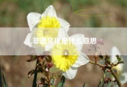 非遗文化是什么意思