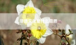 非遗文化是什么意思