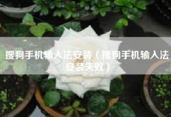 搜狗手机输入法安装（搜狗手机输入法安装失败）