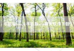 手机版msn（手机版msn聊天软件下载）