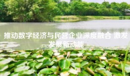 推动数字经济与民营企业深度融合 激发发展新动能