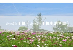 vivox21a手机（vivox21a手机电池容量）