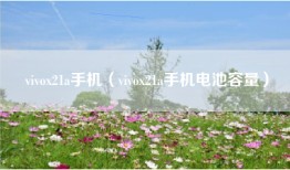 vivox21a手机(vivox21a手机电池容量)