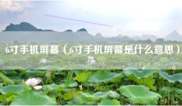 6寸手机屏幕（6寸手机屏幕是什么意思）