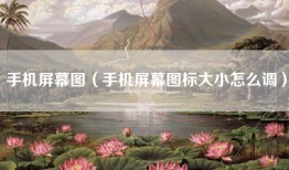 手机屏幕图（手机屏幕图标大小怎么调）