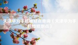天津华为手机维修点查询（天津华为手机维修地点）