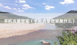 手机流量管家（手机流量管家是什么）