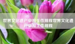 世界文化遗产申报工作规程世界文化遗产申报工作规程