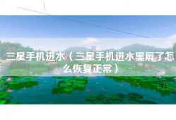 三星手机进水（三星手机进水黑屏了怎么恢复正常）