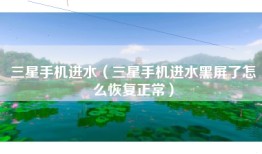 三星手机进水（三星手机进水黑屏了怎么恢复正常）