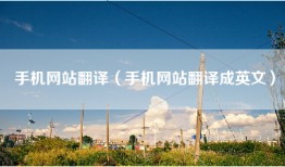 手机网站翻译（手机网站翻译成英文）