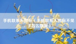 手机联系人图标（手机联系人图标不见了怎么恢复）
