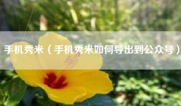 手机秀米（手机秀米如何导出到公众号）
