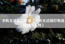 手机无法接打电话（手机无法接打电话但可以上网）